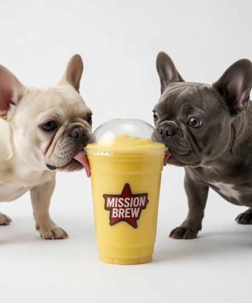 FROZEN MANGO SMOOTHIE With Frenchies FROZEN MANGO SMOOTHIE With Frenchies