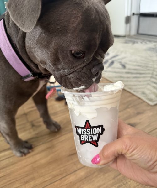 Social Proof Pup Cup 2 Social Proof Pup Cup 2