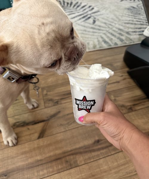 Social Proof Pup Cup Social Proof Pup Cup